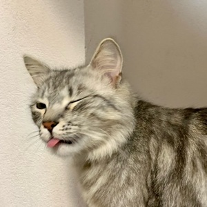 Magdalena Błasik avatar