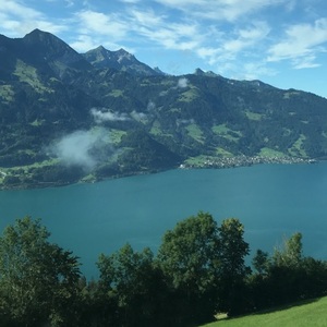 Fatemah Hamed  Alnajm avatar