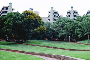 Graham Dampier avatar