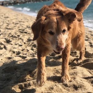 Carlos Rodríguez avatar