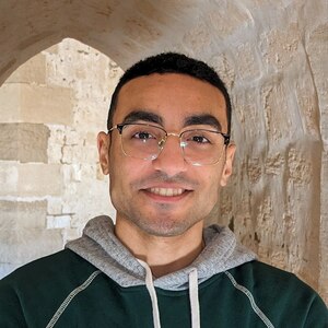 Mohamed Elaraby avatar