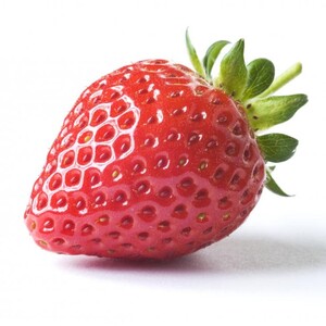 Parham Roufarshabf avatar