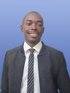 User portfolio avatar