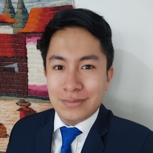Sebastián Domínguez Siesquén avatar