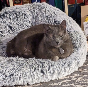 Kyla McDonald avatar