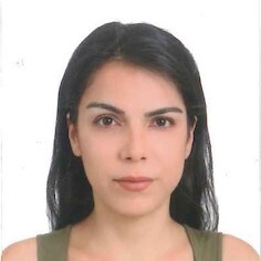 Demet Ay