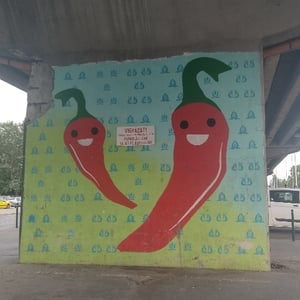 Flavia L. Csikyova avatar