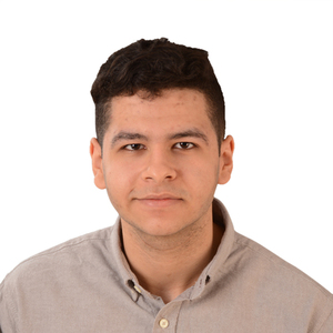 Ahmed Einshouka