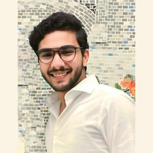 Ahmed Abdelmoneim avatar