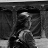 User portfolio avatar