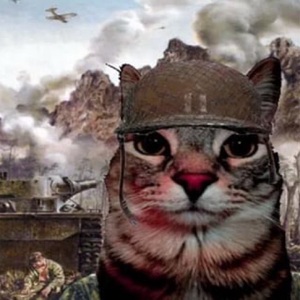 Sabrina Nicole Rodriguez Salgado avatar