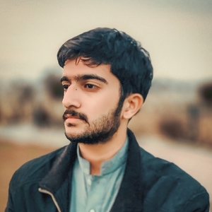 Muhammad Hassan Raza avatar