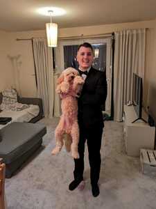 User portfolio avatar