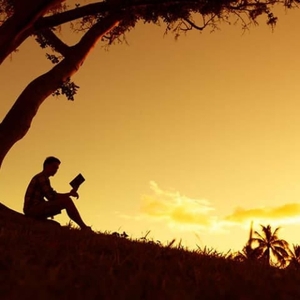 User portfolio avatar