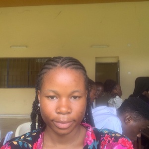 User portfolio avatar