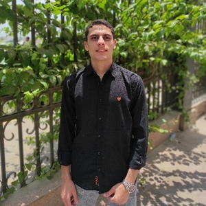 User portfolio avatar