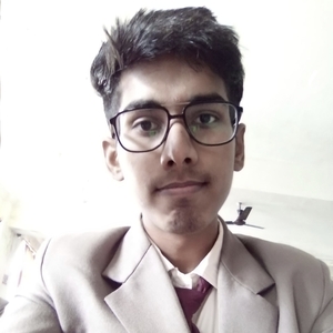 User portfolio avatar