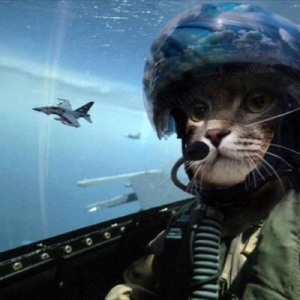 Ali Eren Temiz avatar