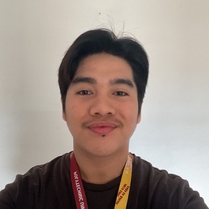 User portfolio avatar