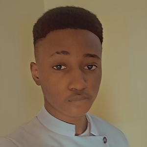 User portfolio avatar