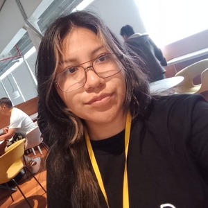 Maria Cristina Limachi Paucar avatar