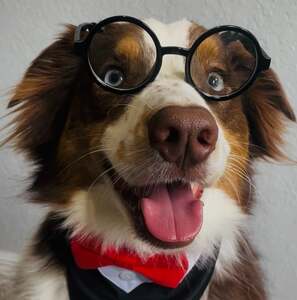 Chris Sinnard Avatar