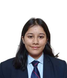 User portfolio avatar