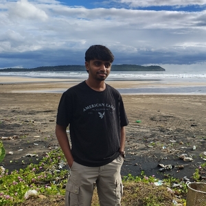 User portfolio avatar