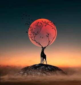 User portfolio avatar