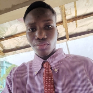 User portfolio avatar